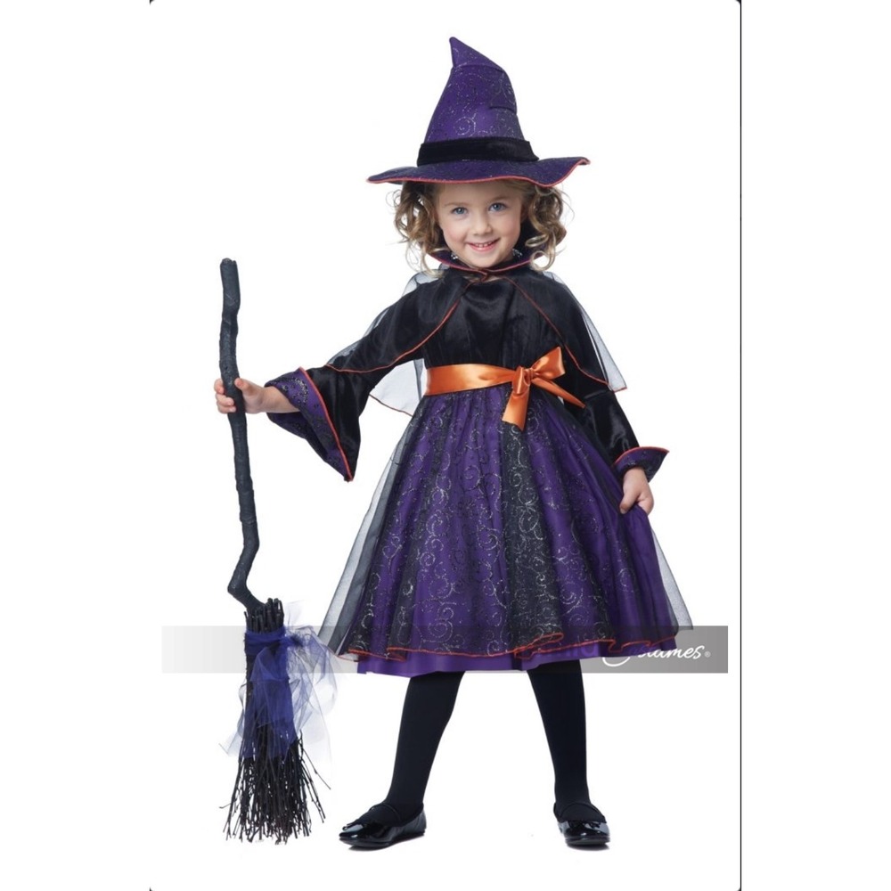 California Costumes Hocus Pocus Toddler Small 2-3 Witch Costume Set Black Purple